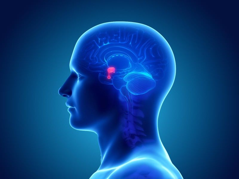 Παθήσεις υποθαλάμου-υπόφυσης